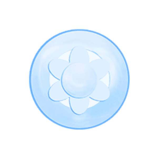 Sternenblume, Variante 1