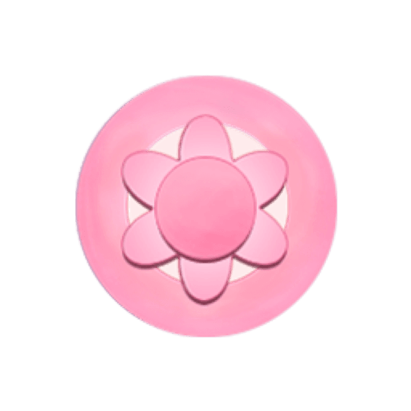 Sternenblume, Variante 3